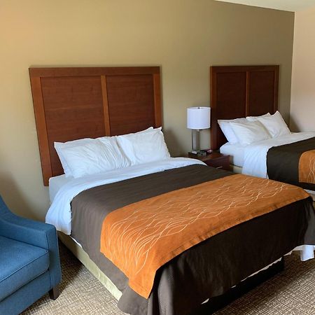 Comfort Inn Smithfield Near I-95 Kültér fotó