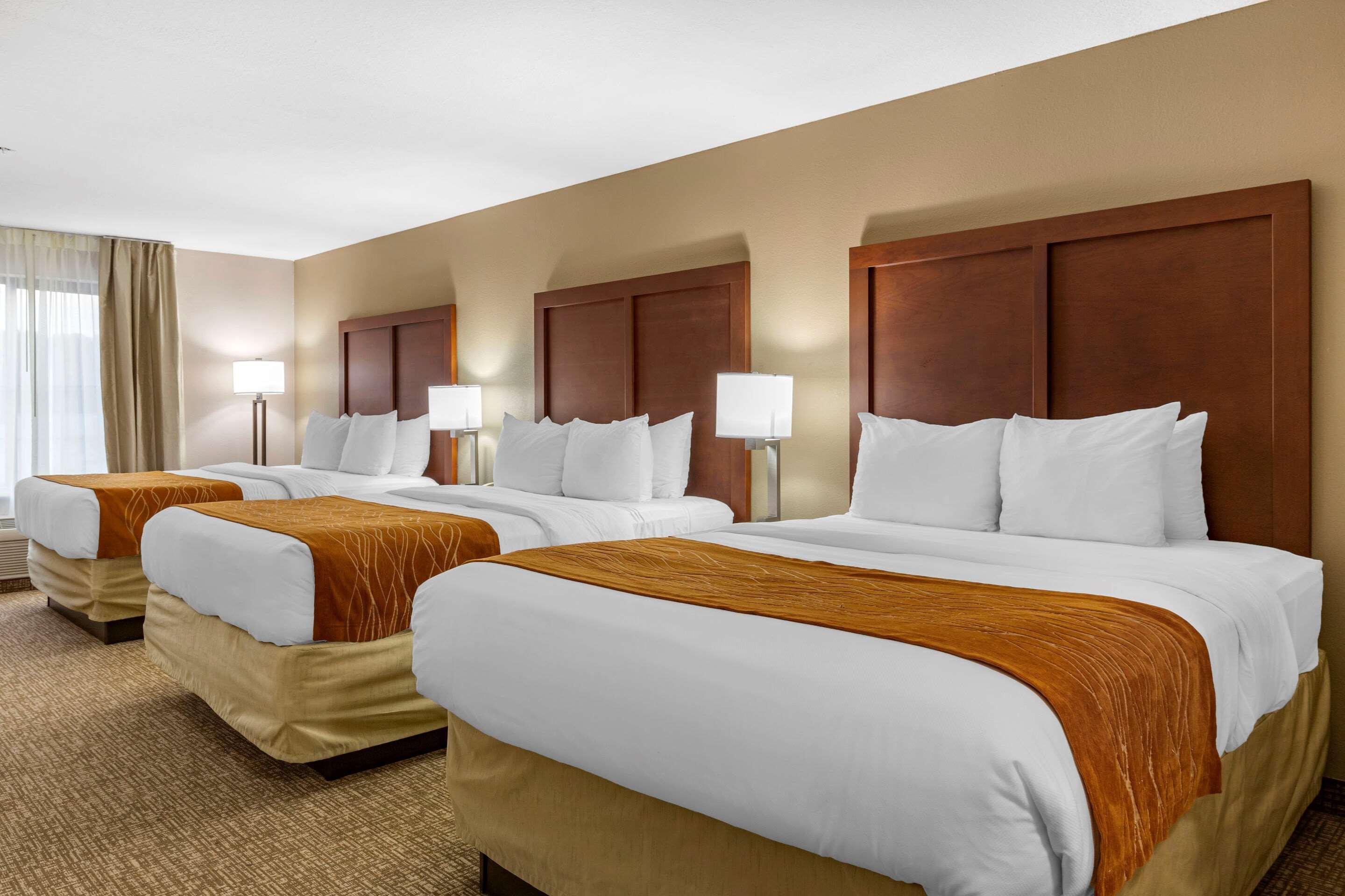 Comfort Inn Smithfield Near I-95 Kültér fotó
